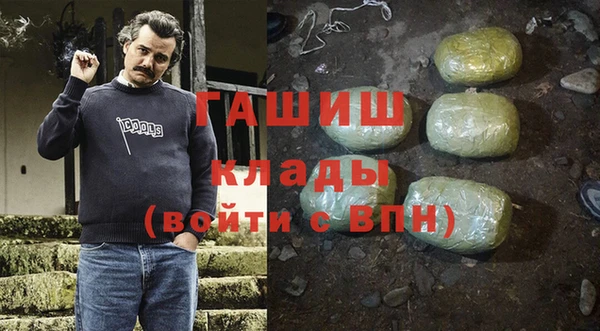 прущие грибы Инта