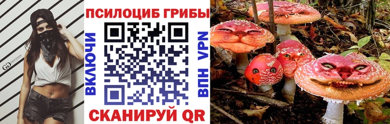 Псилоцибиновые грибы GOLDEN TEACHER  Купить где  Алзамай 
